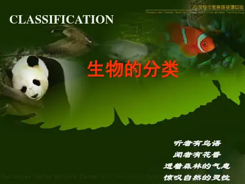 生物的分类ppt