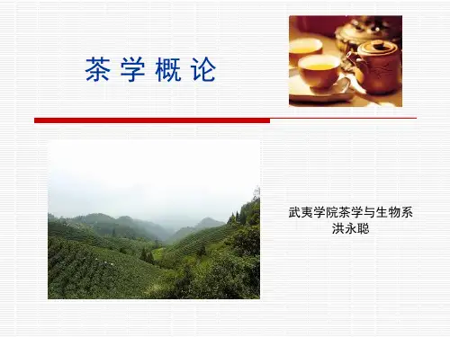 茶学概论 第六章 茶的营养与保健(2学时)