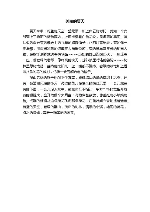美丽的夏天