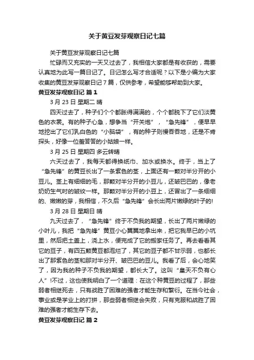 关于黄豆发芽观察日记七篇