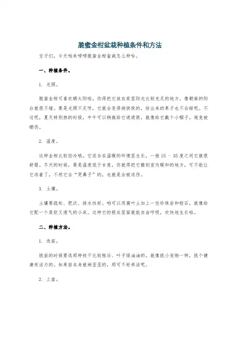 脆蜜金柑盆栽种植条件和方法
