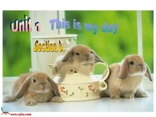 五年级下册 Unit 1This is my day  part A