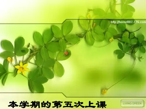 《城市道路平面设计》PPT课件