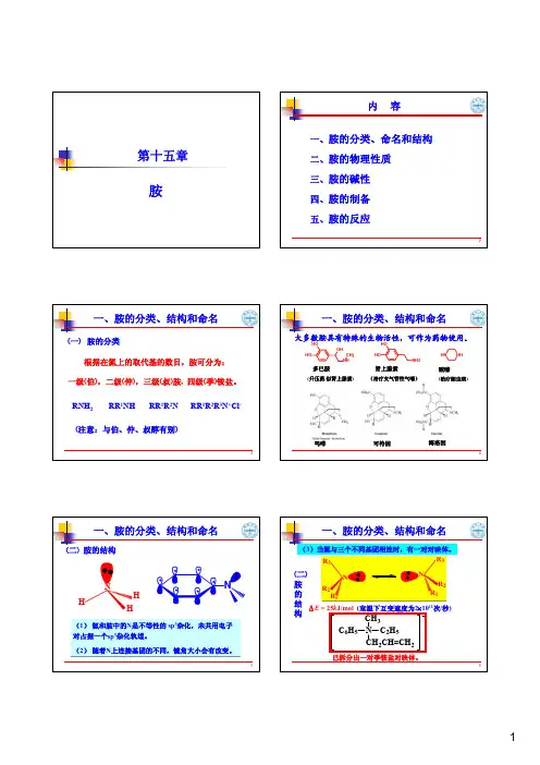 兰州大学《有机化学》PPT课件：15  胺