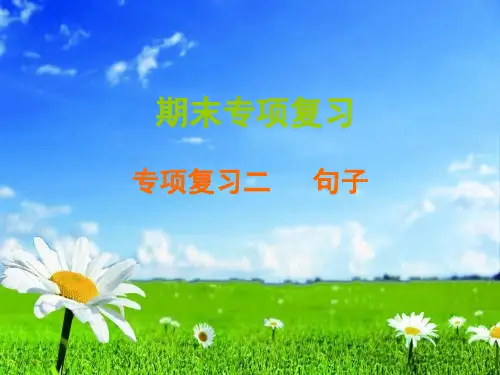 统编版三年级下册语文习题ppt课件-期末专项复习 二 句子  (共11张)