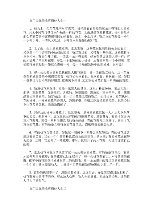 五年级优美段落摘抄大全(最新)