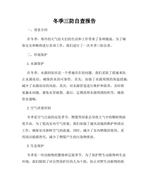 冬季三防自查报告