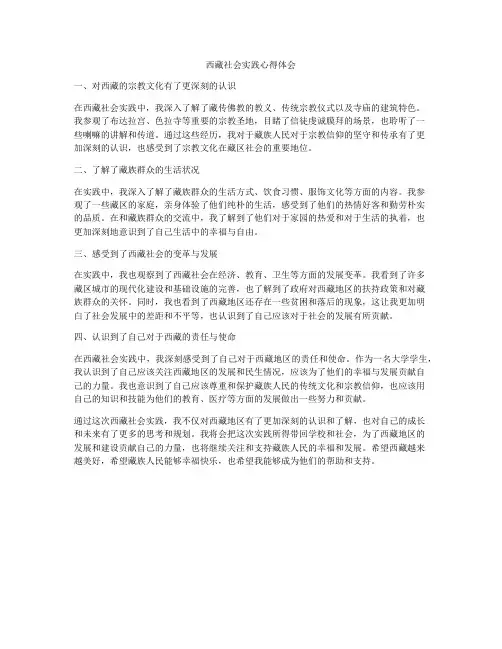 西藏社会实践心得体会