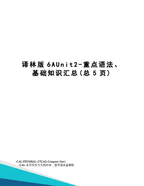 译林版6AUnit2-重点语法、基础知识汇总