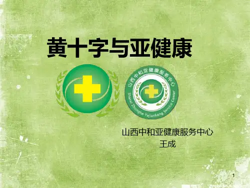黄十字与亚健康PPT课件