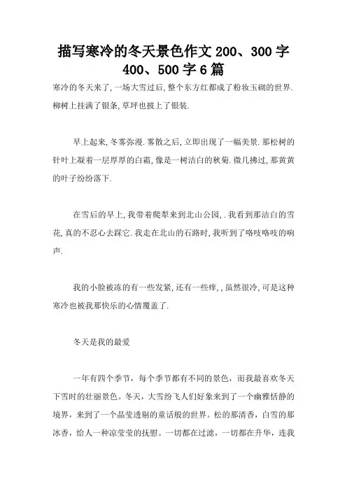 描写寒冷的冬天景色作文200、300字400、500字6篇
