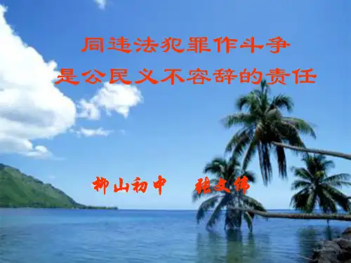 同违法犯罪作斗争