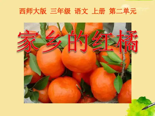 三年级家乡的红橘PPT课件
