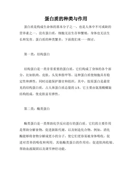 蛋白质的种类与作用