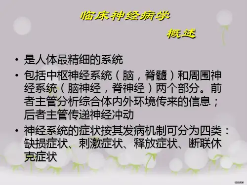 中枢神经系统的定位诊断