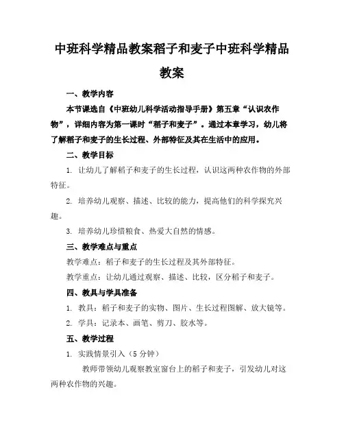 中班科学精品教案稻子和麦子中班科学精品教案