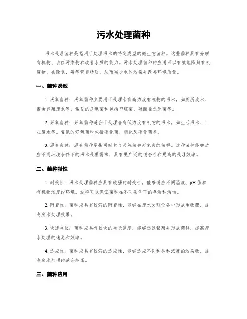 污水处理菌种