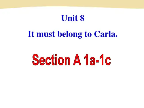 _Unit8 SectionA 1a-1c 课件  人教版新目标英语九年级全一册