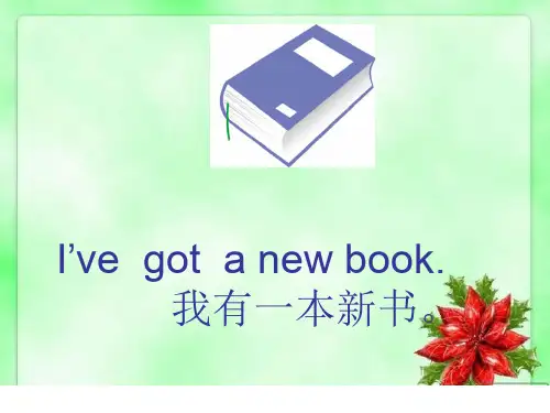 三年级英语下册课件-Module 9 Unit 1 I've got a new book13-外研版（三起）