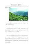 湘茶文化创意产业,路在何方？