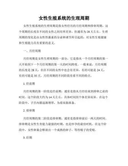 女性生殖系统的生理周期