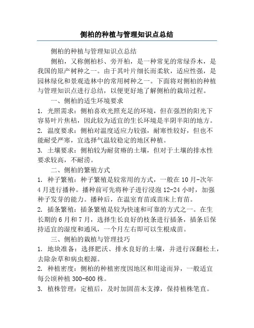侧柏的种植与管理知识点总结