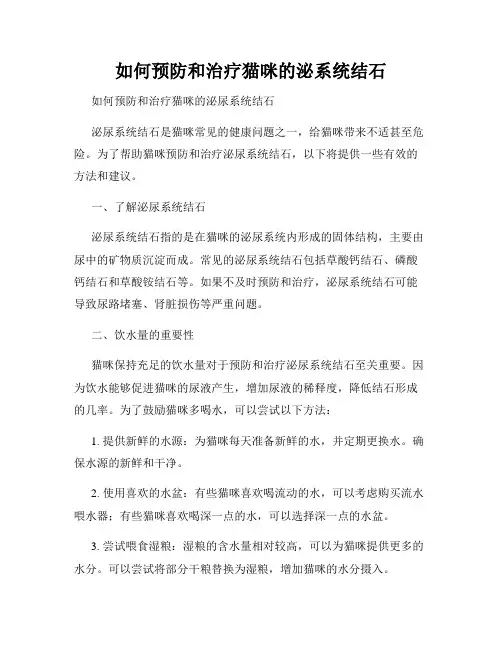 如何预防和治疗猫咪的泌系统结石