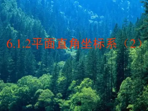 6.1.2平面直角坐标系2