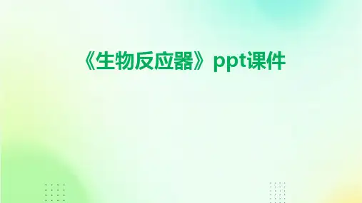 《生物反应器》课件