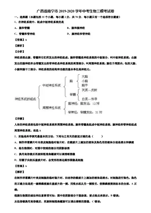 广西省南宁市2019-2020学年中考生物三模考试卷含解析