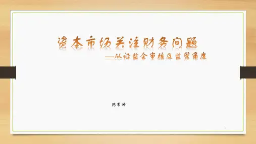 资本市场关注财务问题