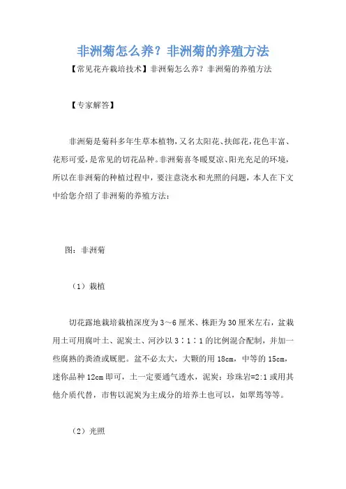 非洲菊怎么养？非洲菊的养殖方法