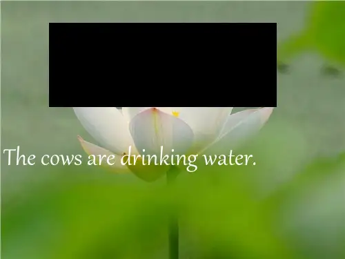 最新六年级英语下册Module3Unit2《Thecowsaredrinkingwater》 6(新版)外研版(三起)优选教学课件