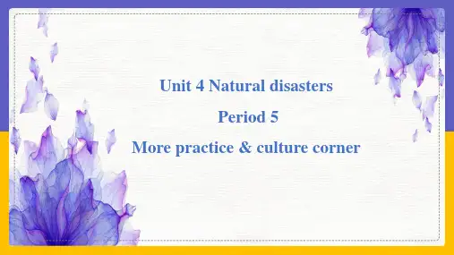 沪教版英语九下Unit 4 Natural disasters Period 5 课件
