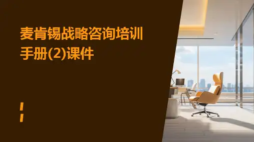 麦肯锡战略咨询培训手册(2)课件