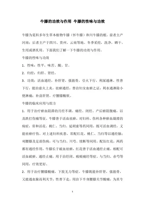 牛膝的功效与作用 牛膝的性味与功效