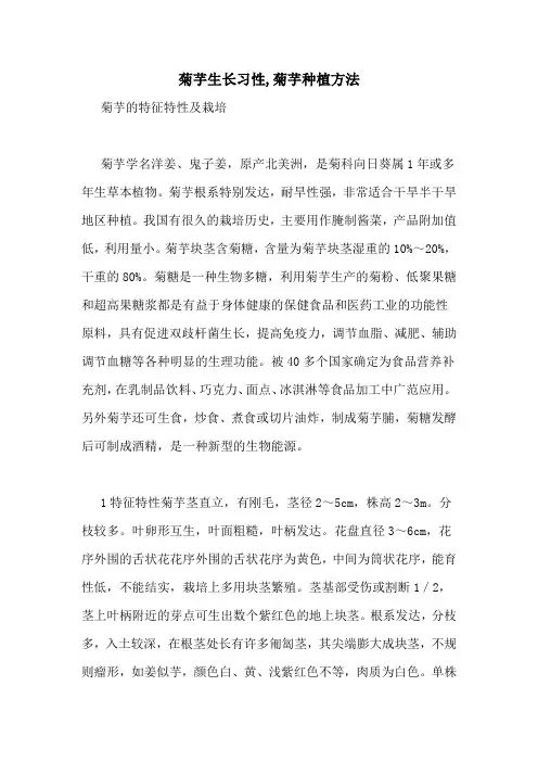 菊芋生长习性,菊芋种植方法