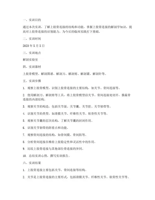 解剖上肢骨连接实训报告