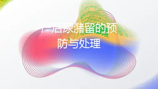 产后尿潴留的预防与处理2024PPT