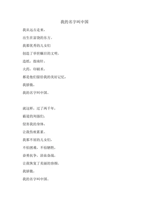 我的名字叫中国