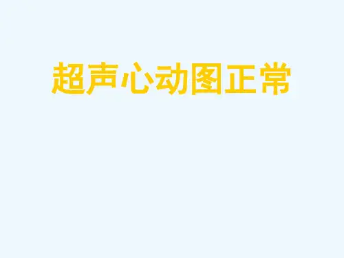 超声心动图正常[可修改版ppt]