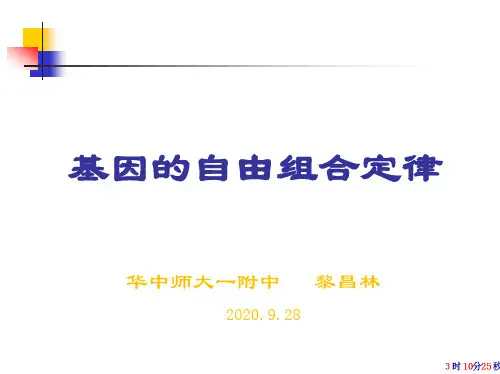 基因的自由组合定律