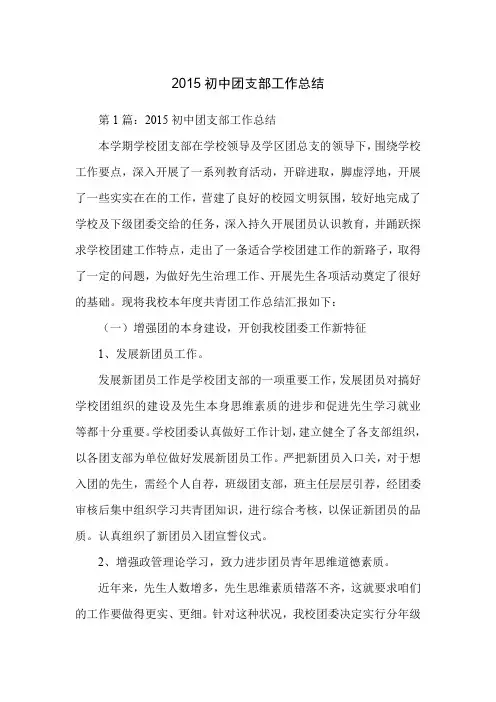 2015初中团支部工作总结