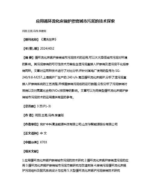 应用循环流化床锅炉掺烧城市污泥的技术探索