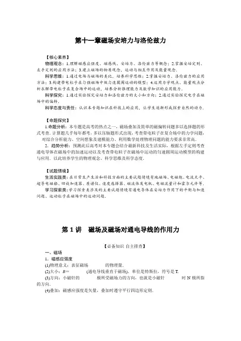 高考物理总复习 第十一章磁场安培力与洛伦兹力