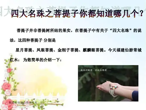 四大名珠之菩提子,你都知道哪几个？