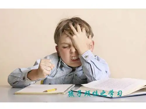 人教版《道德与法治》七年级上册：2.2 享受学习 课件(共23张PPT)