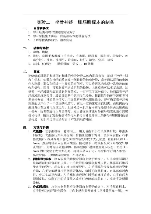 实验二  坐骨神经-腓肠肌标本的制备