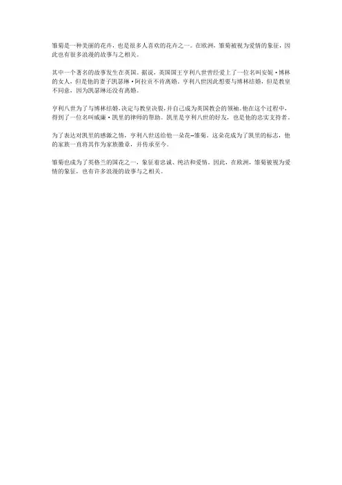 关于雏菊的浪漫故事