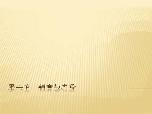 声母和辅音